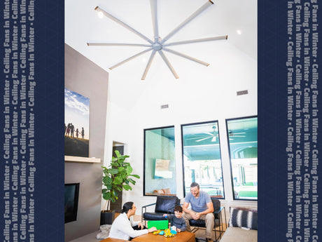 Yep, ceiling fans are great for winter! Find out how to get the most out of your ceiling fan as temps drop.