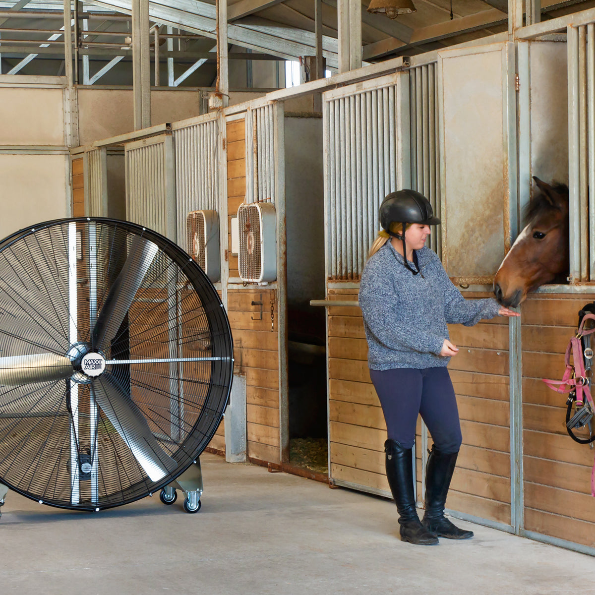60 in. drum fan blows cool air in the direction of an equestrian and stalled horse in a barn.
