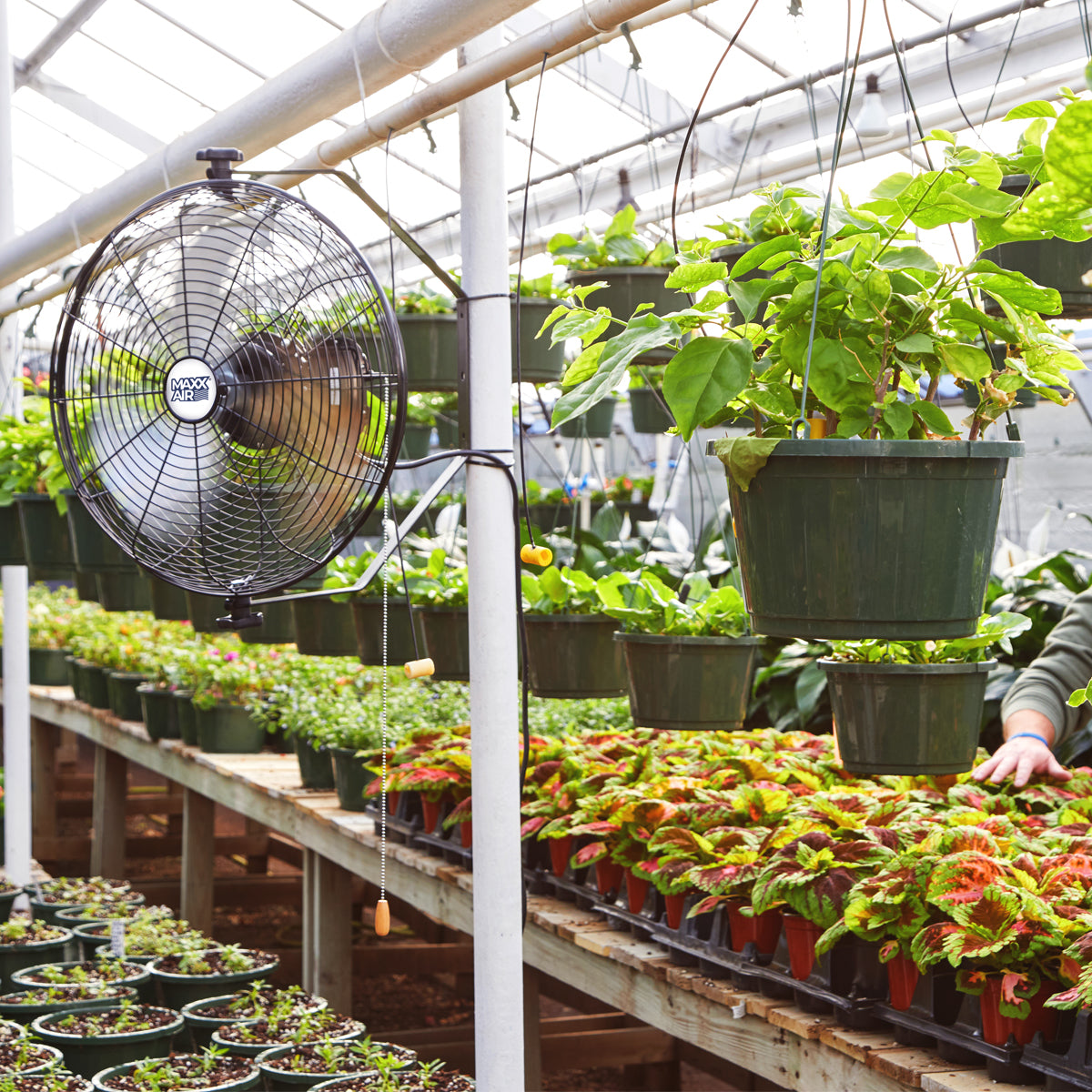 The 18 in. heavy duty fan aids in temperature control in a greenhouse.