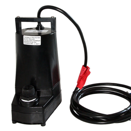 Full view of pump and wiring.