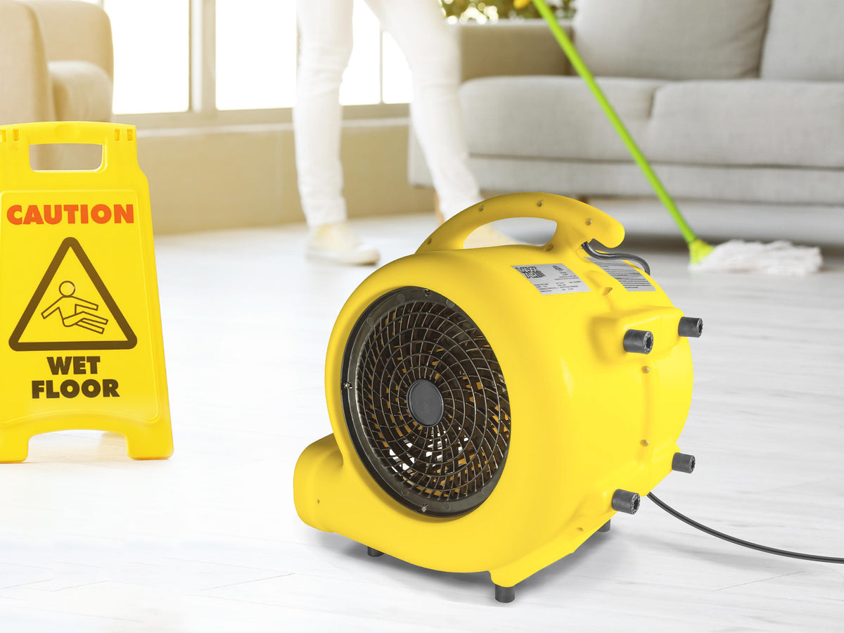 high-velocity fans positioned across carpet for drying