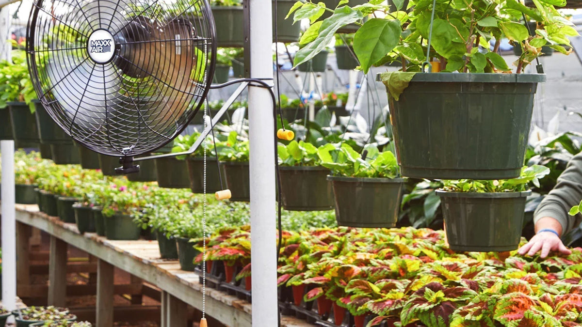 How to Choose the Right Fan