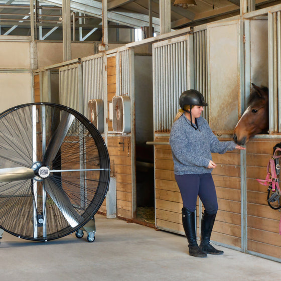 60 in. drum fan blows cool air in the direction of an equestrian and stalled horse in a barn. 