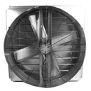 Back view of the electric fan showing the safety grille and fan blade for powerful exhaust function.