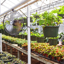 The 18 in. heavy duty fan aids in temperature control in a greenhouse. 